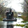 Everglades Tour