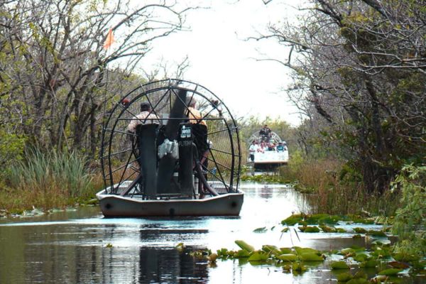Everglades Tour