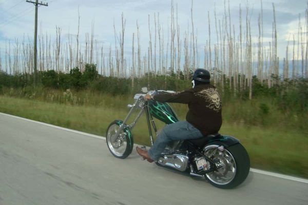 Everglades Tours