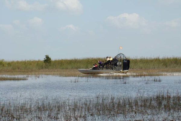 Everglades Tours