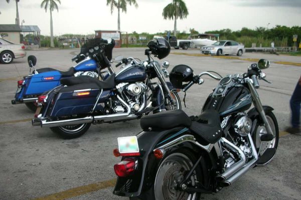 Everglades Tours