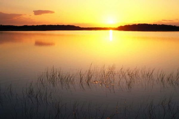 Everglades Tours