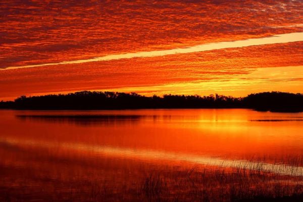 Everglades Tours