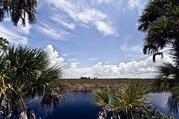 Everglades Tours