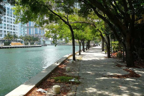Ruta por Miami