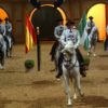 Caballos