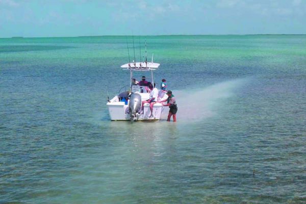 Key West Tour