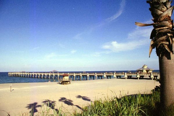 Palm Beach Tour