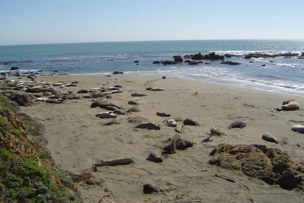 West Coast Triangle Tour
