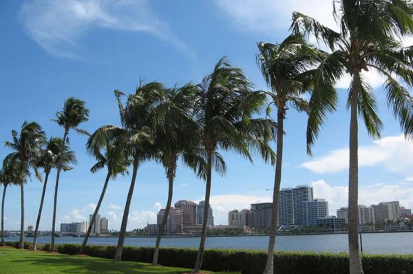 Palm Beach Tour