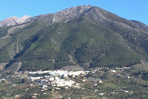 Alcaucín